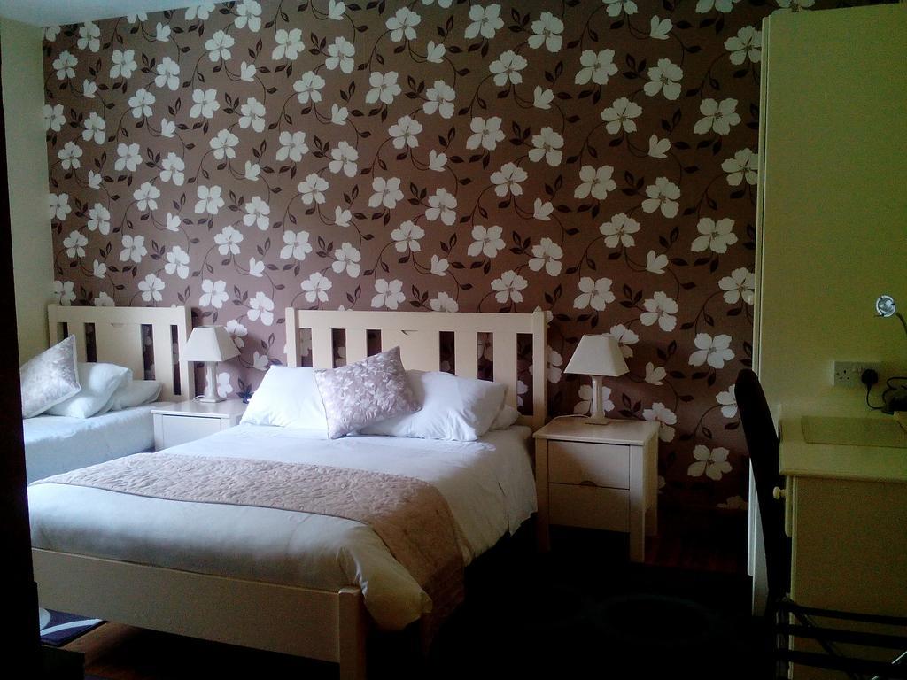 Deerpark Manor Bed&Breakfast Swinford Buitenkant foto